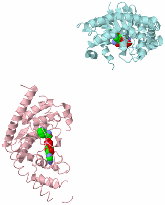 Image Biological Unit 3