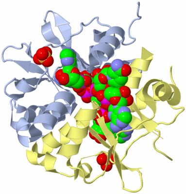 Image Biological Unit 1