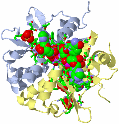 Image Biol. Unit 1 - sites