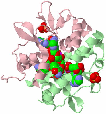 Image Biological Unit 2