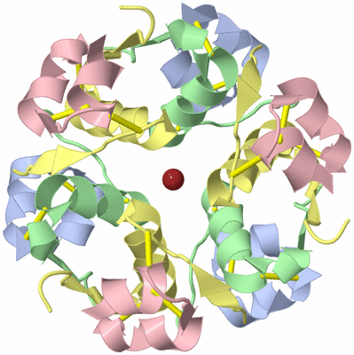 Image Biological Unit 1