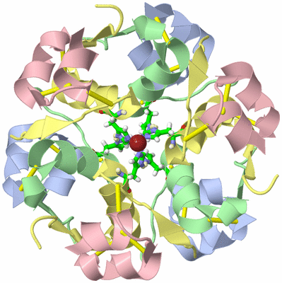 Image Biol. Unit 1 - sites