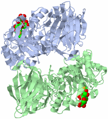 Image Biological Unit 1