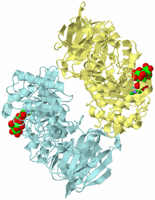 Image Biological Unit 2