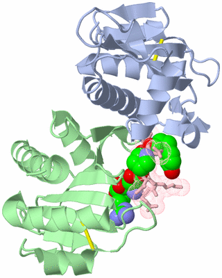 Image Asym./Biol. Unit