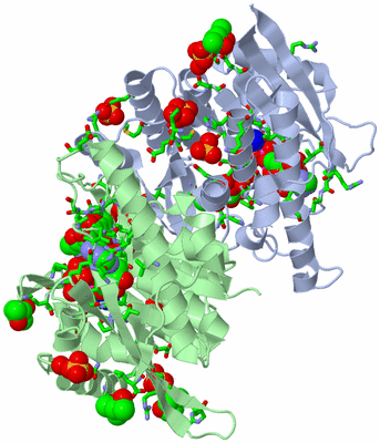 Image Asym./Biol. Unit - sites