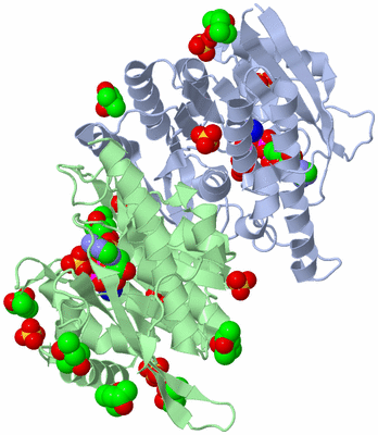 Image Asym./Biol. Unit