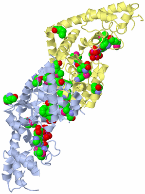 Image Biological Unit 1