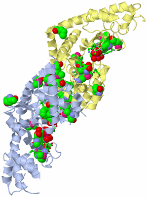 Image Biol. Unit 1 - sites