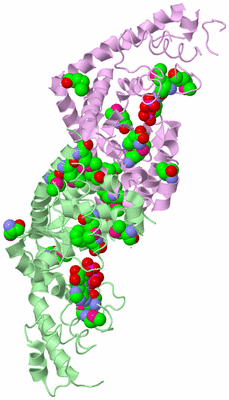 Image Biological Unit 2