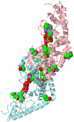 Image Biological Unit 3