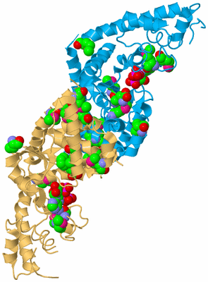 Image Biological Unit 4