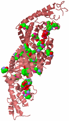 Image Biological Unit 5