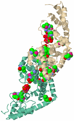 Image Biological Unit 6