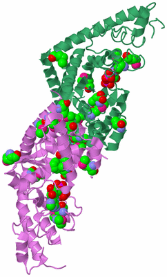 Image Biological Unit 8