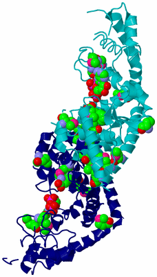 Image Biological Unit 9