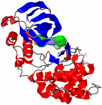 Image Asym./Biol. Unit