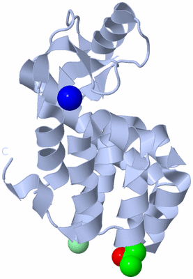 Image Biological Unit 1