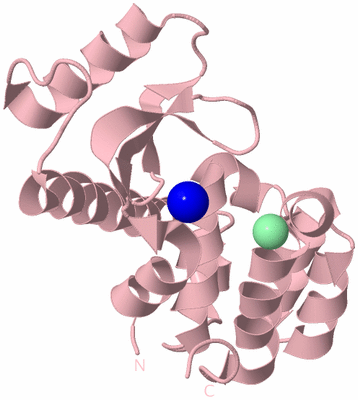 Image Biological Unit 3