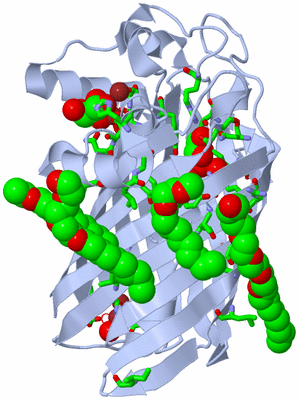 Image Biol. Unit 1 - sites