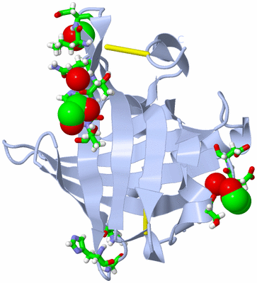 Image Biol. Unit 1 - sites