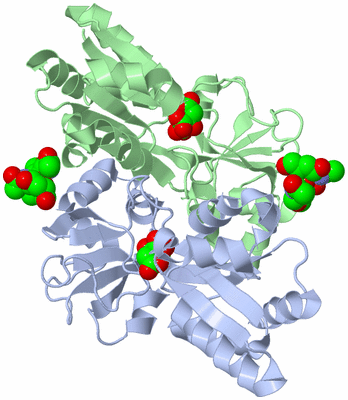 Image Asym./Biol. Unit