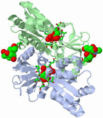 Image Asym./Biol. Unit - sites