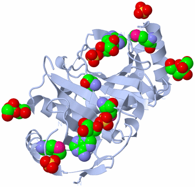 Image Biological Unit 1