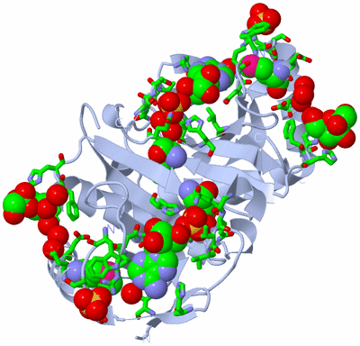 Image Biol. Unit 1 - sites