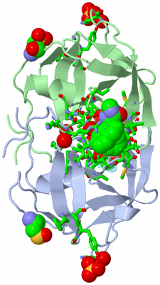 Image Asym./Biol. Unit - sites