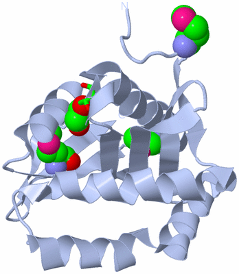 Image Biol. Unit 1 - sites