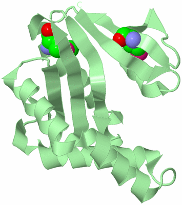 Image Biological Unit 2