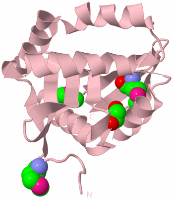 Image Biological Unit 3