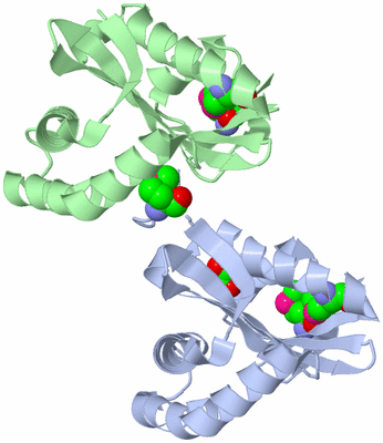 Image Biological Unit 5