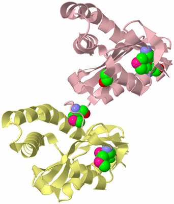 Image Biological Unit 6