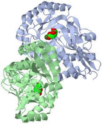 Image Biological Unit 1