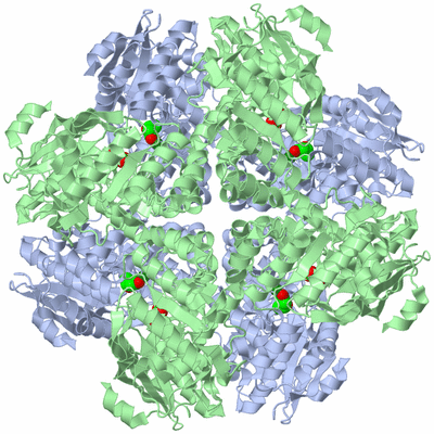 Image Biological Unit 2