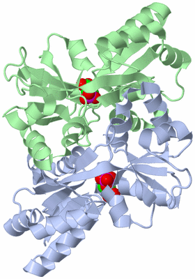 Image Asym./Biol. Unit