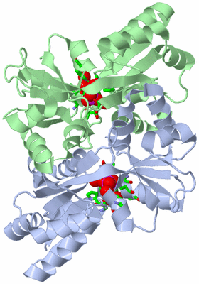 Image Asym./Biol. Unit - sites