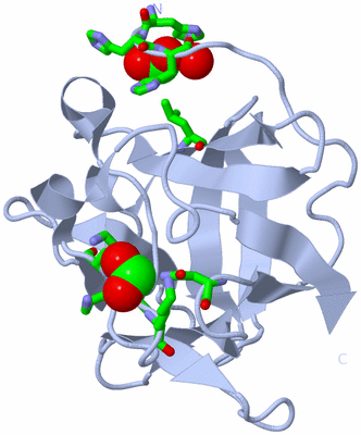 Image Biol. Unit 1 - sites