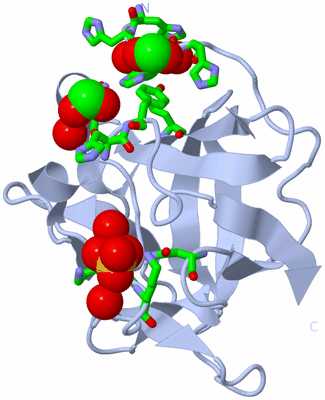 Image Biol. Unit 1 - sites