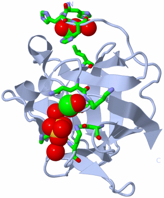 Image Biol. Unit 1 - sites