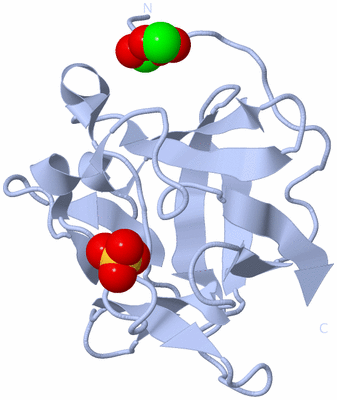 Image Biological Unit 1