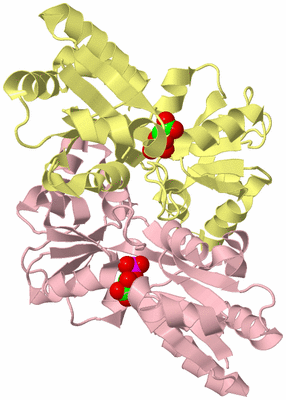 Image Biological Unit 2