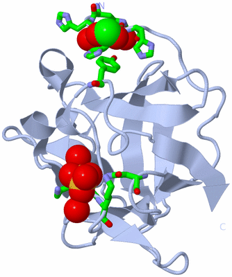 Image Biol. Unit 1 - sites