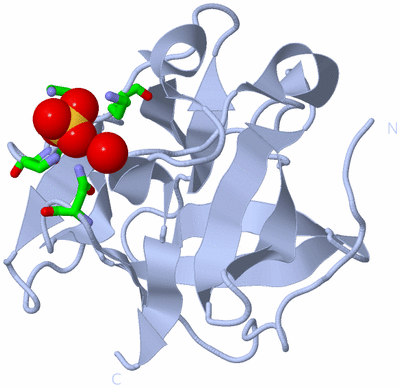 Image Biol. Unit 1 - sites