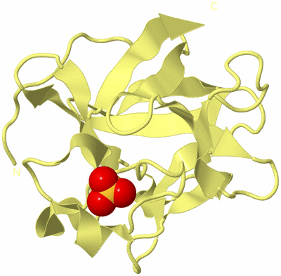 Image Biological Unit 4