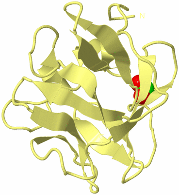 Image Biological Unit 4