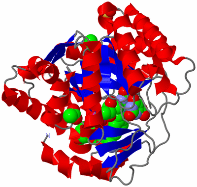 Image Asym./Biol. Unit