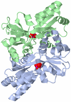 Image Asym./Biol. Unit